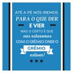 GRE223 HINO GREMIO_25x25.jpg